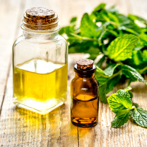 Эфирное масло Мелиссы  